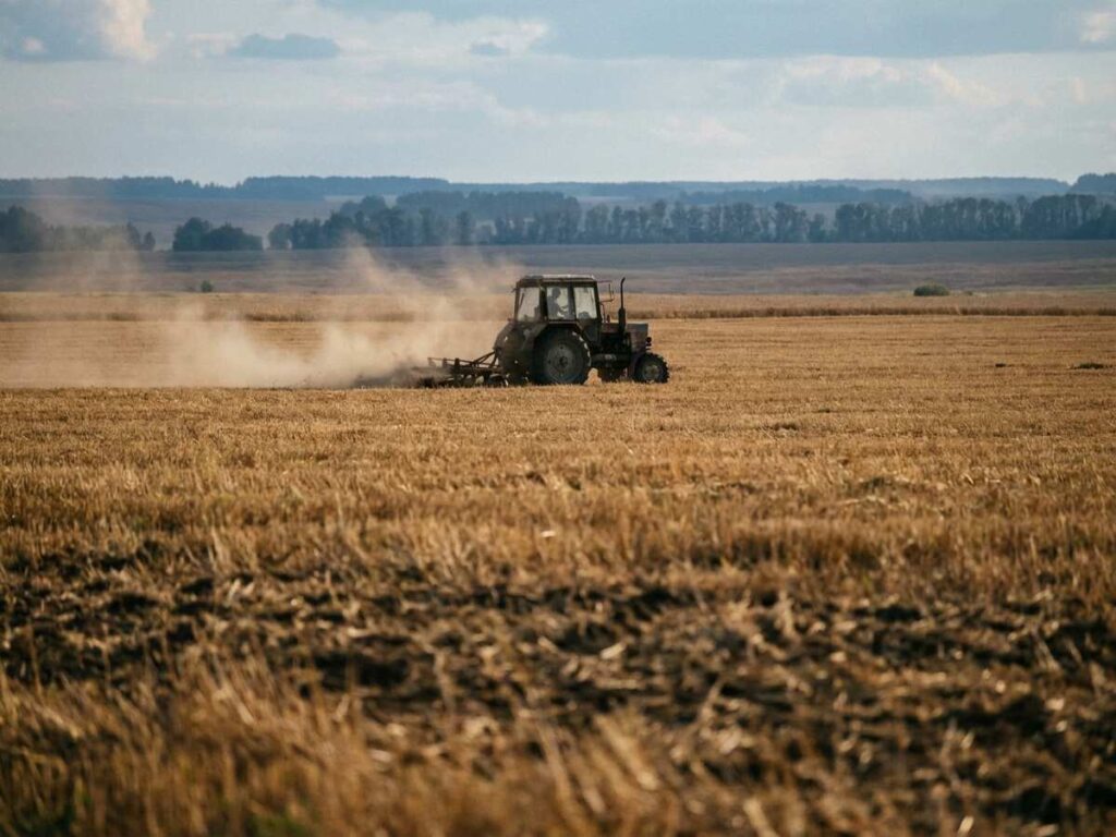 Tractor care lucrează pe o miriște de grâu, cu praf ridicat în urmă, în lumină de după-amiază