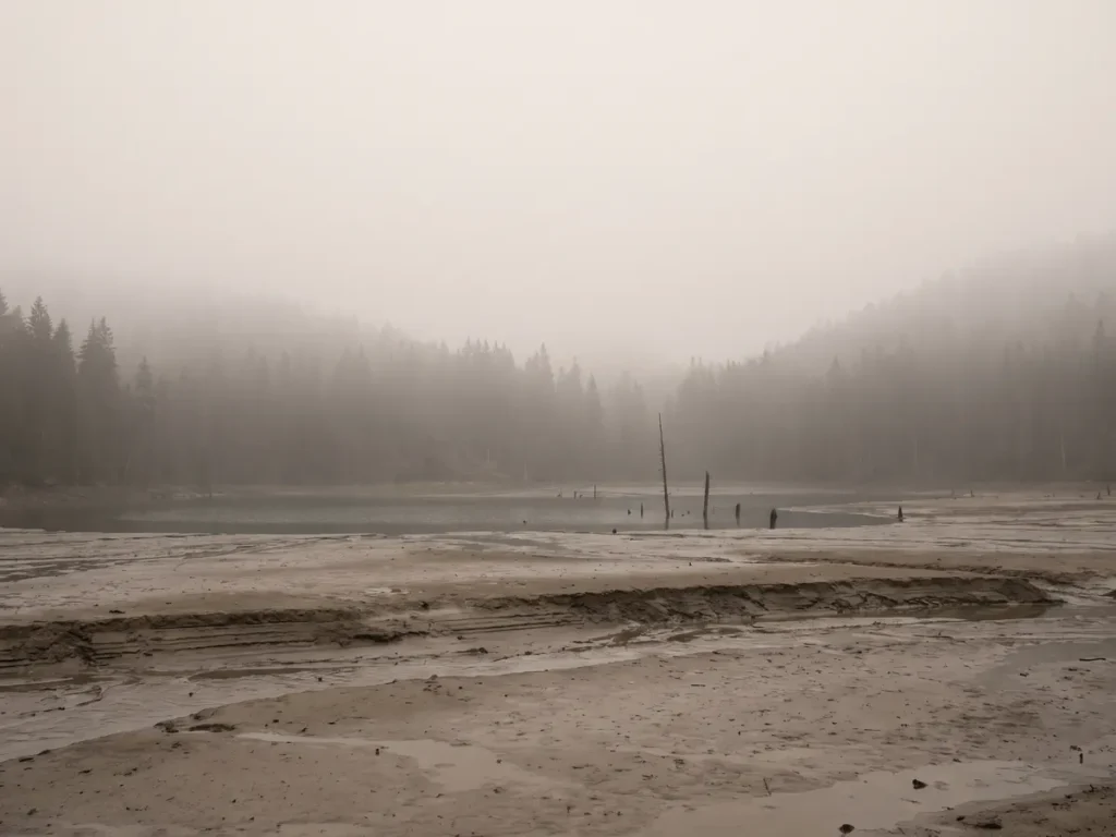 Lacul Roșu în ceață, cu depuneri de sediment pe mal și trunchiuri de molid uscate în apă